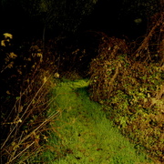 Nachtlandschaft