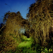 Nachtlandschaft