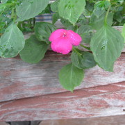 Img_1050_card
