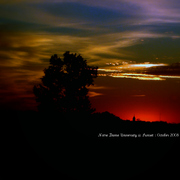 Dsc01948bznd_card
