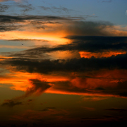 Img_3276bzz4_card