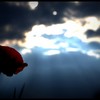 Flower_copyright_thumb