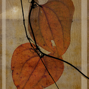 November_song_card