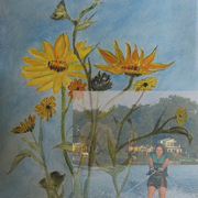 0565_on_top_of_1720wildflowers_copy_card