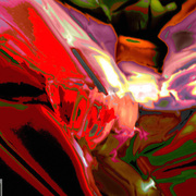 Flamingo_card