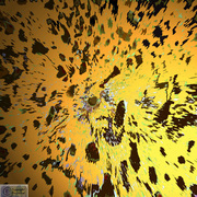 Leopard_in_motion_card