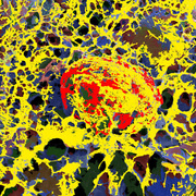 Polymatrix_card