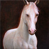 Horse_large_thumb