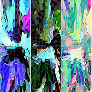 Reflections_1_card