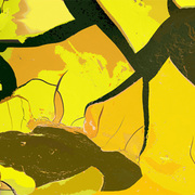 Sunflower_fragments_card