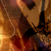 Nature_3_card