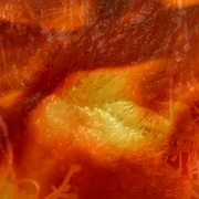 Natures_heat_card