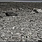 Dsc05496_card