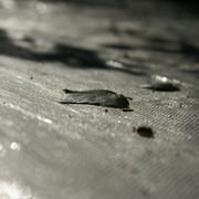 065_card