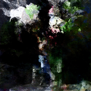 White_flower_artmoz_card