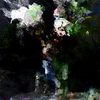 White_flower_artmoz_thumb