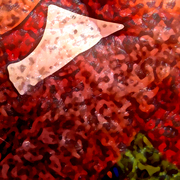 Pattern_2_card
