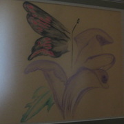 Img_1772_crop_card