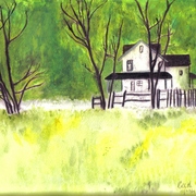 House___landscaping_forest_card