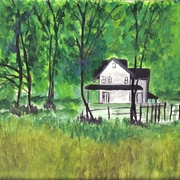 Forest_card