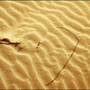 Untitled-20_thumb
