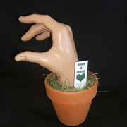 Grow_a_friendphotoweb_card