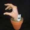 Grow_a_friendphotoweb_thumb