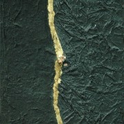 Copia_di_solo_nel_male_cm