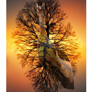 Crane_and_sunset_card