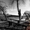 Solitude_copyright_thumb