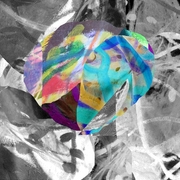 Acolors_card