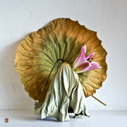 Ikebana-161_card