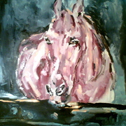 Cavallo_card