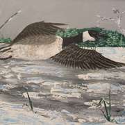 Snow_fliet_2_card