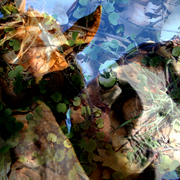 Bonny_and_ash