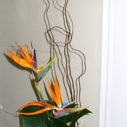 Imagem_001_card