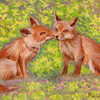 Funnies_foxes_2006__thumb