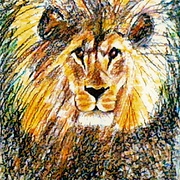 Picture_667_card