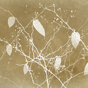 November_medley_card