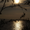_9291862_thumb