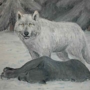 White-wolf-sketch_card