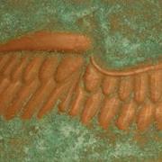 Angelus_feminus_001_600_card