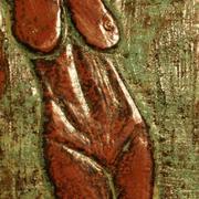 Feminus_exuviae_001_600_card