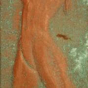 Feminus_exuviae_010_600_card