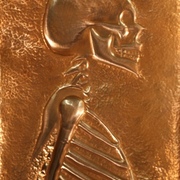 Skeleton_001_card