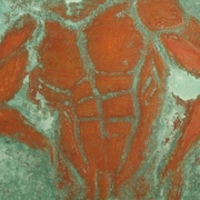 Mas_exuviae_002_card
