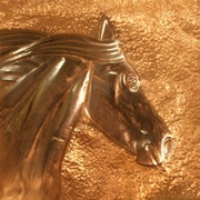 Equus_001_card