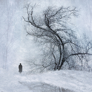 Winter_walk_card