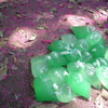 Dsc00006_thumb