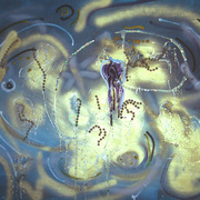 Oyster_dance_card